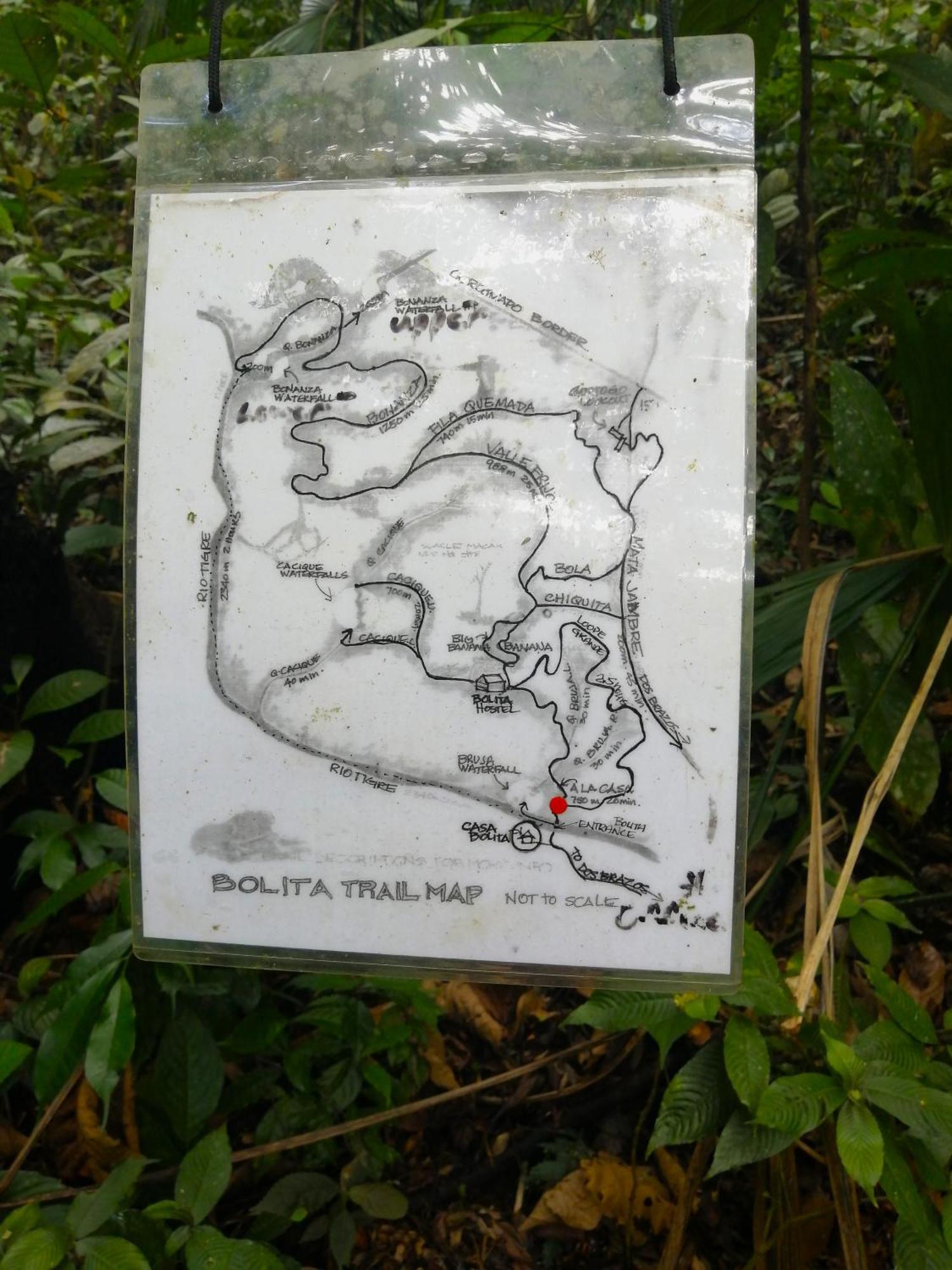 Bolita Trails And Lodging Dos Brazos Exteriör bild